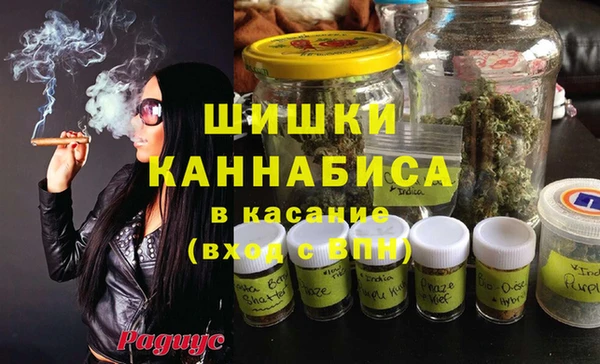 хмурый Арсеньев