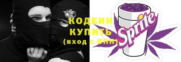 хмурый Арсеньев