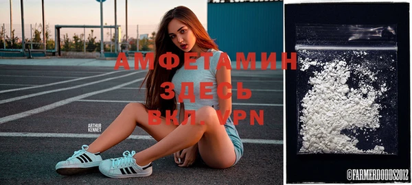 хмурый Арсеньев