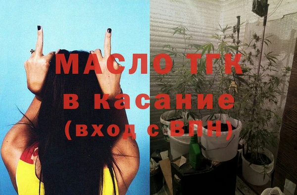 хмурый Арсеньев
